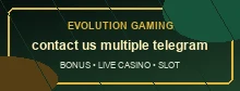 support evolution gaming